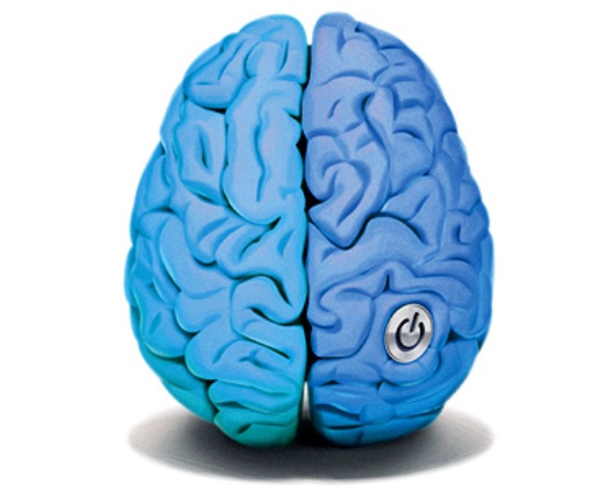 Cervello umano