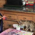 Ecco come questa bambina affetta dall'autismo è aiutata da un gatto a uscire dal silenzio.