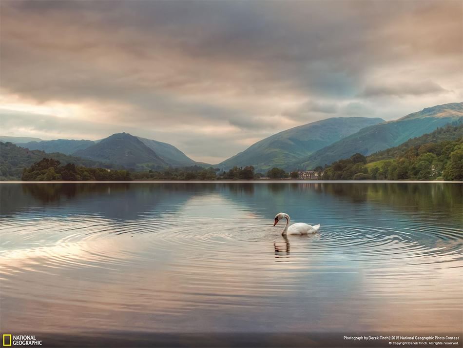 animali spettacolari