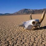 10 cose che devi sapere sulla nostra Terra