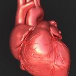 10 curiosità da sapere sul corpo