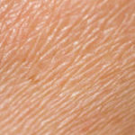 10 curiosità da sapere sul corpo