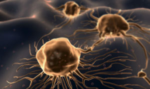 cellule cancerogene