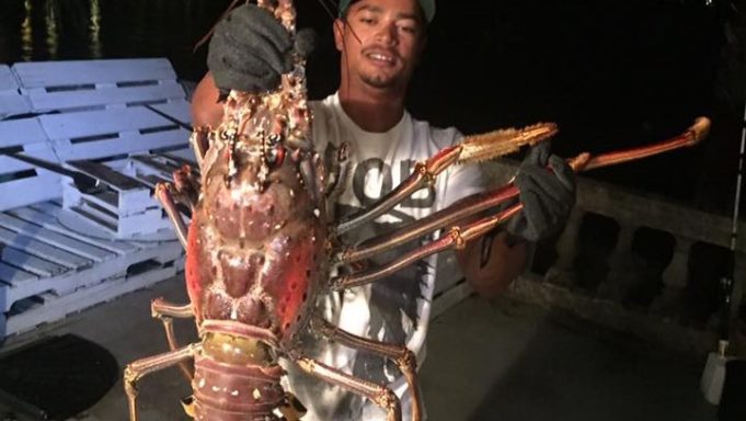 Mostri del mare aragosta gigante