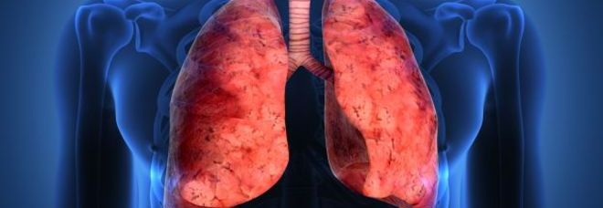 polmoni e globuli rossi