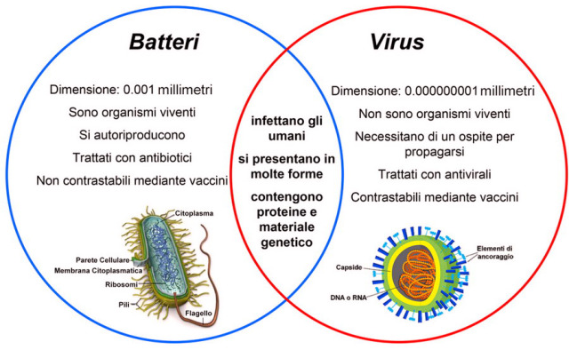 Ecco la differenza tra i virus e i batteri.