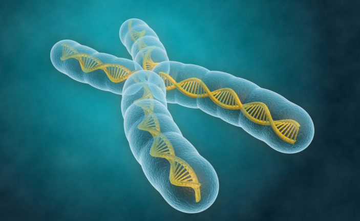 Differenza tra geni e cromosomi.