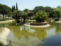 Ambiente acquatico Anatidi