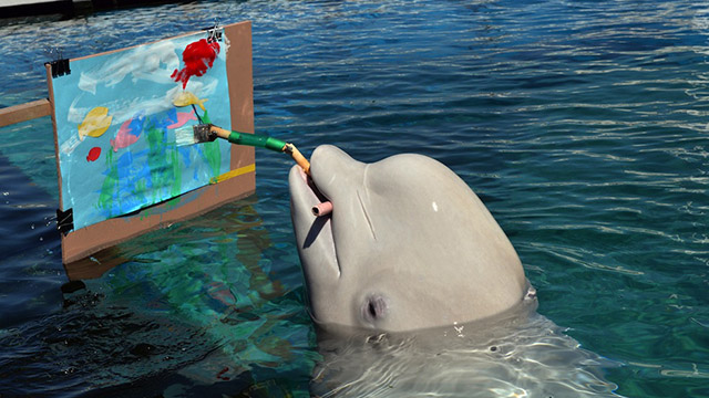 Il beluga è un pittore professionista!