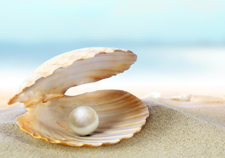 Apre un mollusco e dentro c'è una stupenda perla.