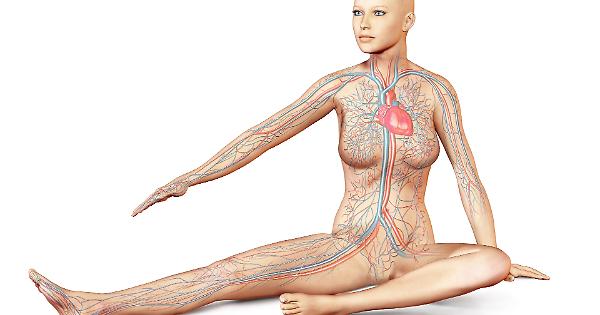 10 curiosità da sapere sul corpo