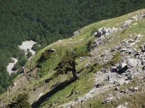 monte pollino escursione